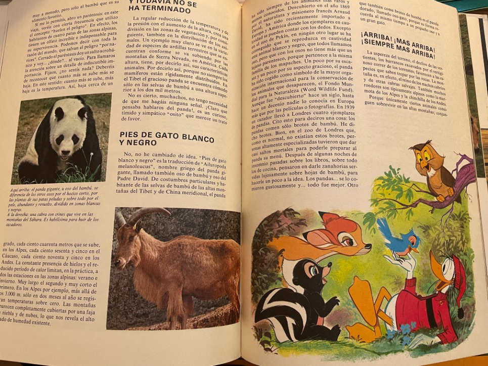 SET 5 ANTIGUOS LIBRO ENCICLOPEDIA INFANTIL DISNEY MICKEY MOUSE - Image 2