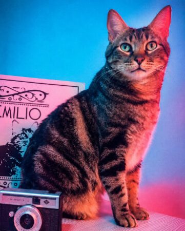 Emilio 2026